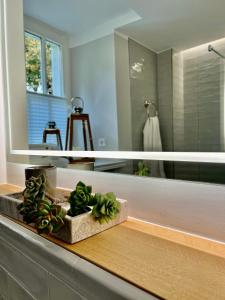 Premium Apartment an der Stadtmauer im EG