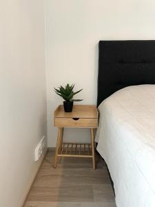 Brand new loft apartment with glazed balcony