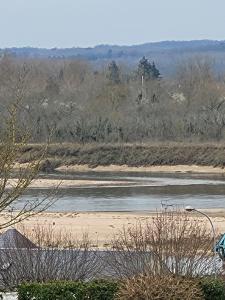 Appartements Joli appartement avec vue sur la Loire : photos des chambres
