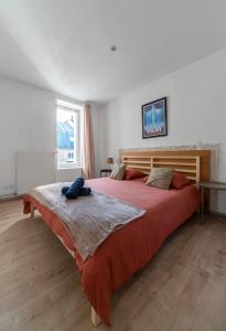 Appartements Le Duplex - Grand appartement centre ville : photos des chambres