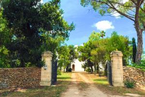 Tenuta Afra