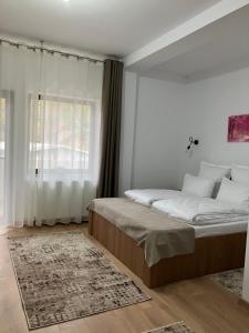 Casa BABI