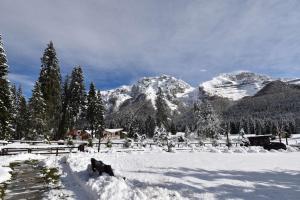 Capanna Arnold Apartment