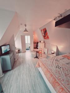 Appartements Location saisonniere, meublee, appartement type studio a Sevres : photos des chambres