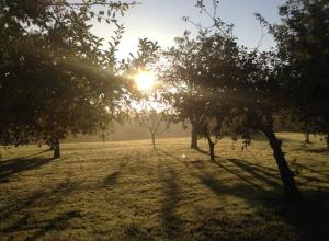 Maisons de vacances Le Chai, Chateau de Charras, Family Friendly Holiday Destination : photos des chambres