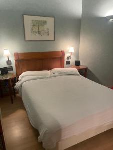 Basic Double Room Single Use room in Best Western Hotel Firenze