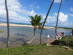 Chalé de Madeira nr01 - Exuberante Flora e Fauna - IMBASSAI