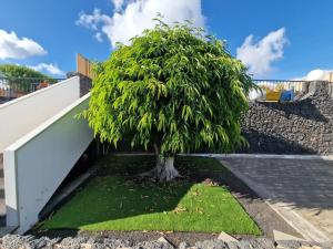 Villa Juanita, Puerto del Carmen, Lanzarote