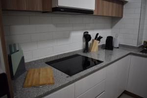 Dpto Pucón, camino al volcán