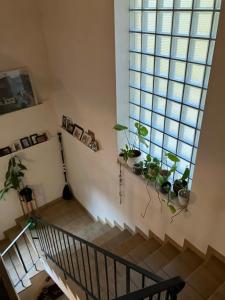 Apartment am Ponyhof