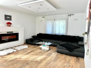 Spacious Green Cosy Apartment near Maribor 