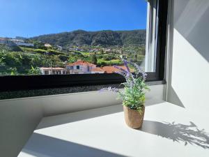 Machico Oasis - Mountainview