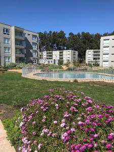 Arriendo Vacacional Papudo