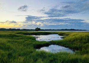 Grand Refuge wilpathu safari Home made foods Bikes Bicycles Tuk tuk Bird view Lake jogging
