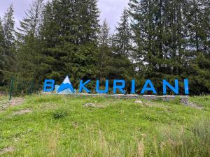 Bakuriani Hotel Apartments 301