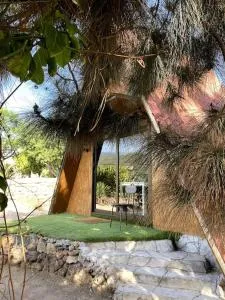 CasaAlpina: live a great experience in a tinyhouse - Las Zocas