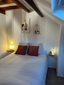Appartements Le p'tit millesime - hypercentre : photos des chambres