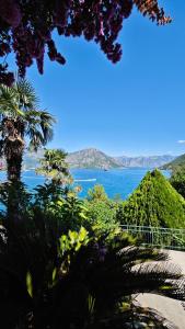 Apartment Capt Seferovic