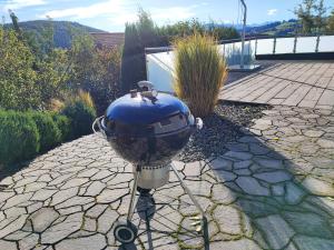 Ferienhaus Alpenblick