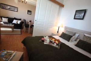 Appart'hotels Residence Nemea Les Chalets Des Cimes : photos des chambres