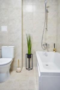 Smarald Apartament Iulius Mall Iasi