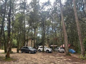 El Búho, cabañas, camping, trailer park