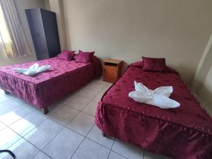 Hospedaje San Camilo Tacna