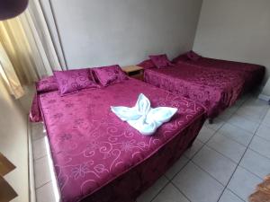 Hospedaje San Camilo Tacna