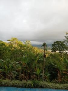 Hotel Green Mountain turrialba