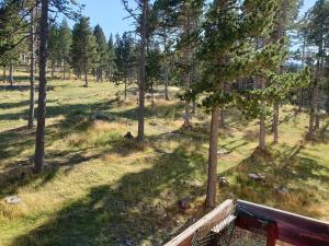 Port del Comte Apartment - A PIE DE PISTA