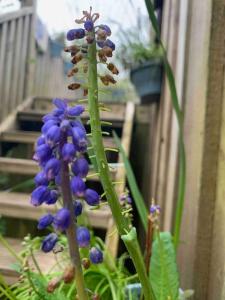 AppleTree Barn - Pembrokeshire Coast National Park