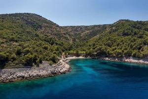 Secluded fishermans cottage Cove Didina, Hvar - 21933