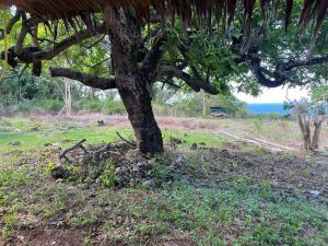 Jermaine quiet house