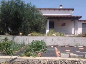 Casa Corofulu Oliena - IUN P2139 img25