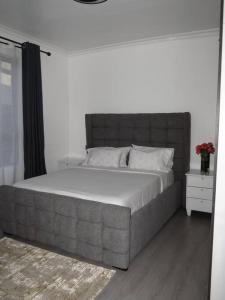 3 Bedroom Luxury Apartment-Airport Pick Up Available