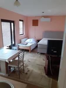 Apartman Dušica - 伊万尼察