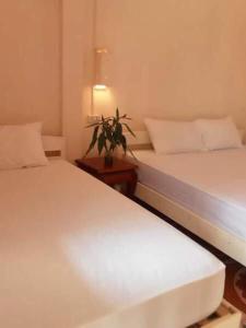 sainamhoun guesthouse