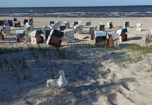 Ferienwohnung Strand25