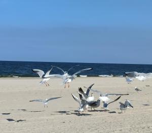 Ferienwohnung Strand25