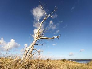 Ferienwohnung Strand25