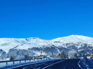 Appartements appartement 6 places station super besse : photos des chambres