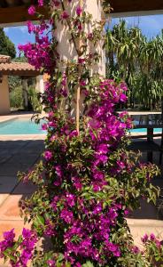 VILLA 4* avec PISCINE dans le bas du village de BORMES les MIMOSAS