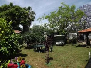 齐默花园乡村民宿 - Deir el Asad