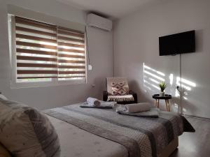 Relax Apartmani Niš