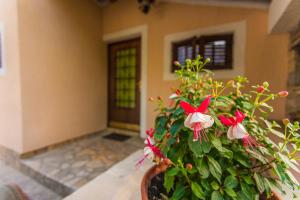 Andrije Buvine Apartments