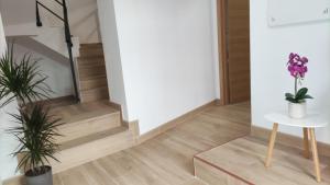 Pensión Alicante Bergez