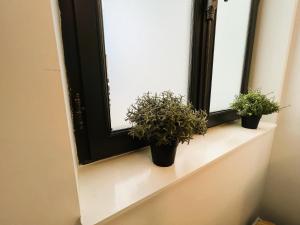 Appartements Villa Saint Jacques , Duplex Les Galets : photos des chambres