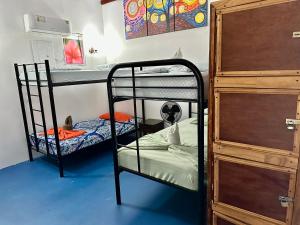 Luminosa Uvita Hostel