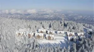 Pohorje Village Wellbeing Resort - Family Apartments Bolfenk - 斯洛文尼亚比斯特里察