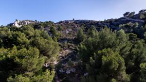 Appartements Appartement lumineux au calme au pied des Calanques et proche Mer : photos des chambres